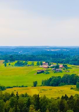 Forest Hills Covered With