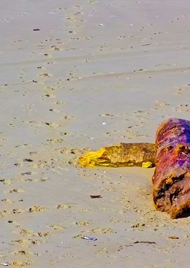 Stunning Backgrounds