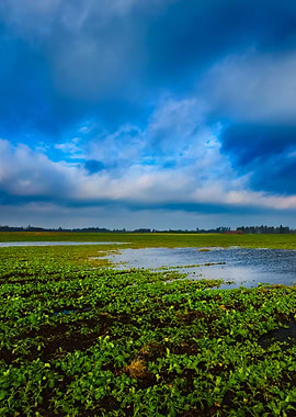 Dark Dramatic Rain Clouds