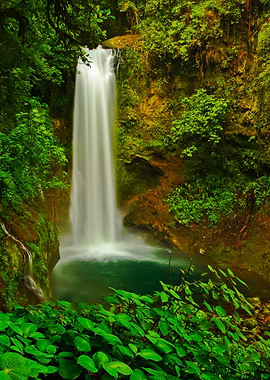 La Paz Waterfall Gardens W