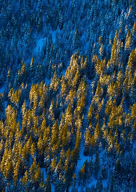 Stunning Backgrounds