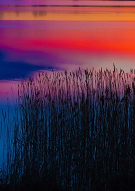 Beautiful Lake With Colorf