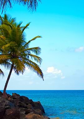 Luquillo Beach In Puerto R