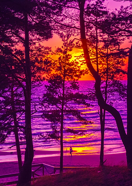 Beautiful Sunset Over Sea