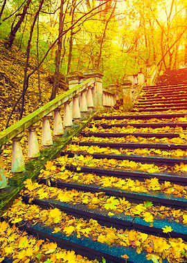 Park At Sunrise Stairways