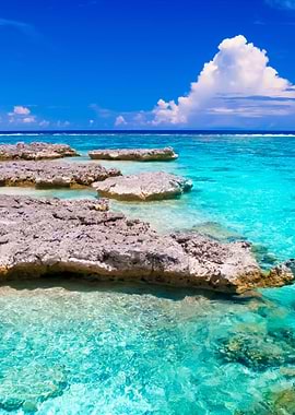 Stunning Backgrounds