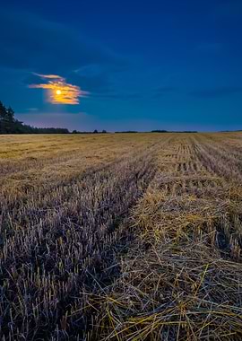 Stubble Field Under Rising
