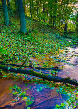 Beautiful Wild Autumnal Fo