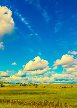 Green Field And Beautiful