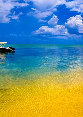 Stunning Backgrounds