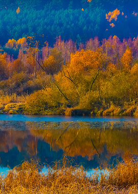 Morning Lake At Autumn