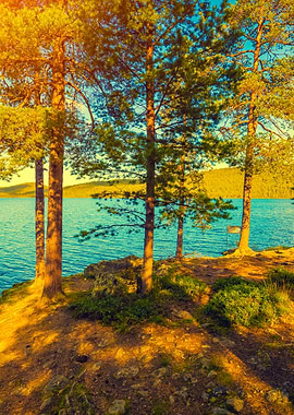 Lake Shore In Sunny Day Pi