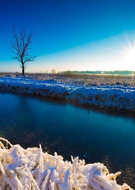 Winter River Landscape