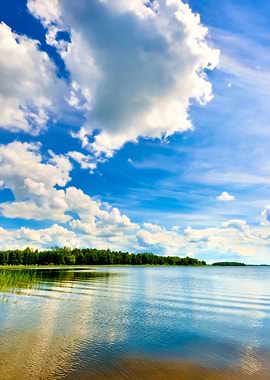 Lake In The Forest With Re