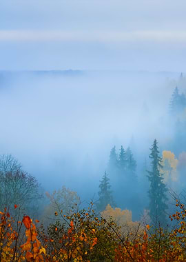 Gauja River Valley In Autu