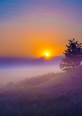 Foggy Morning On Polish Me