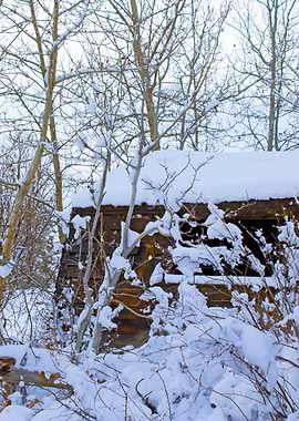 Stunning Backgrounds