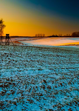 Winter Field Sunset