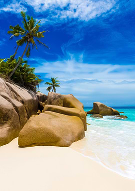 Stunning Backgrounds