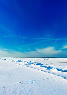 Ice Desert Winter Landscap