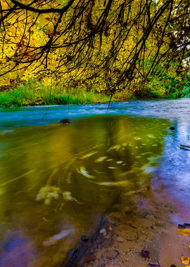 Wild River In Autumnal Col