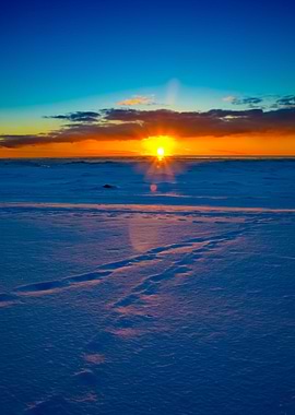 Colorful Sunset At The Sno
