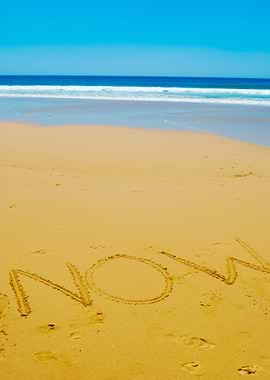 Holidays Background On Bea