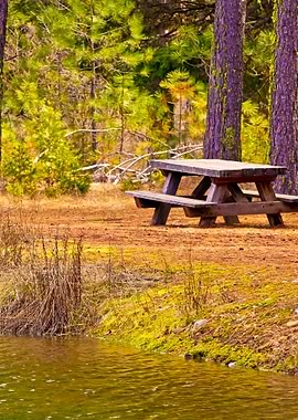 Stunning Backgrounds