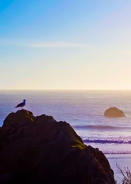 Stunning Backgrounds