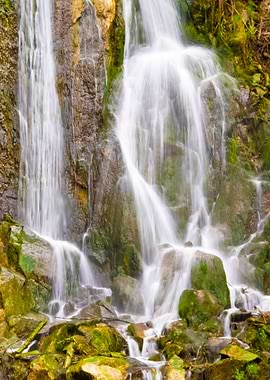 In The Harz Mountains