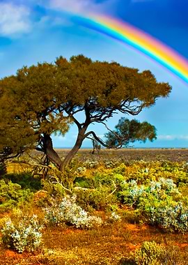 Rainbow Tree