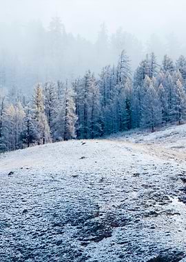 Stunning Backgrounds