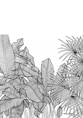 Line drawing black pen