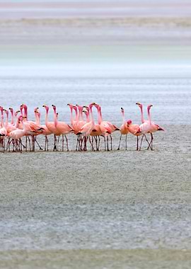 Stunning Backgrounds