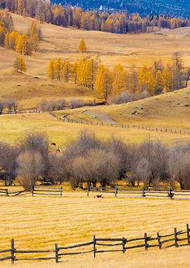 Stunning Backgrounds