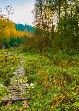 Beautiful Wild Autumnal Fo