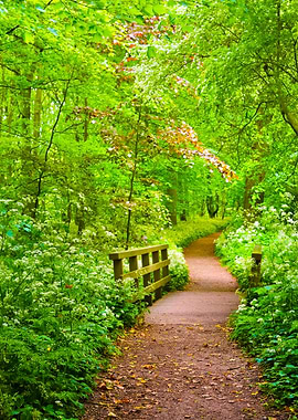 Walkway In Stochemhoeve Fo