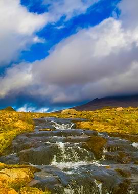 Wild Nature Of Kamchatka V