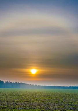 Sunset Over Meadow And Hal