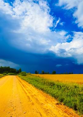 Road And Cereal Field Agai
