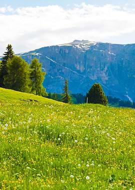 Image Of Horse On Lankoffe