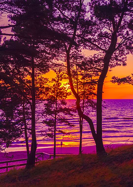 Beautiful Sunset Over Sea