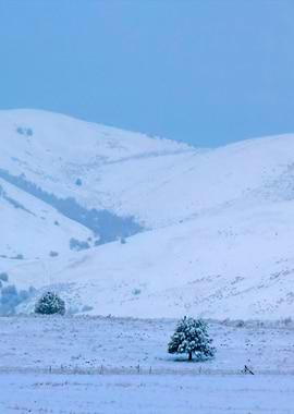 Stunning Backgrounds