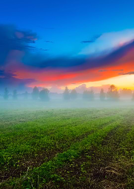 Sunset Over A Mysty Field