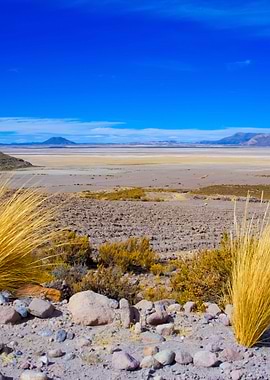 Stunning Backgrounds