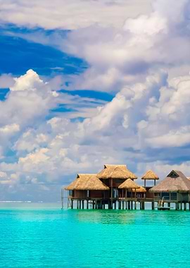 Stunning Backgrounds