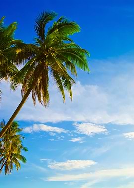 Landscape Photo Of Island