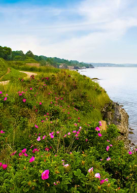 Newport Rhode Island Shore