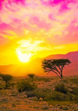 Magic Sunset In Savannah