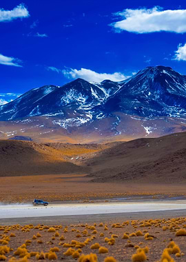 Stunning Backgrounds